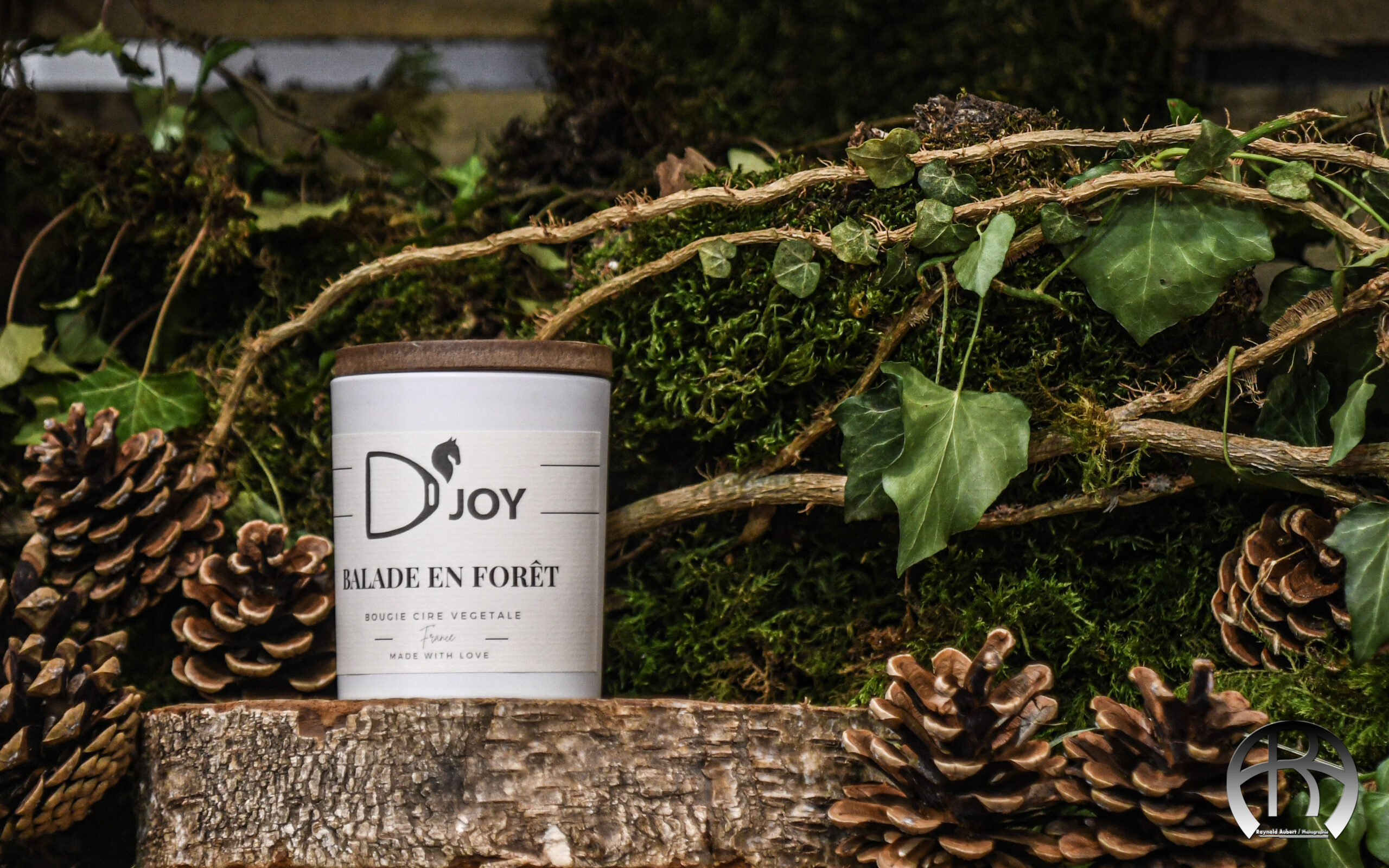 Bougie parfumée Feutre et Rivet Cheval | RONZON Legend