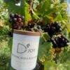 Bougie Trotting dans les vignes