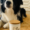 Bougie Oh my Dog – Image 2