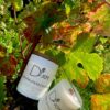 Bougie Trotting dans les vignes – Image 4