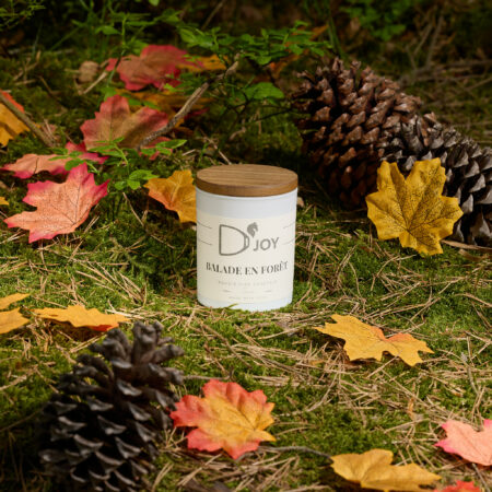 Bougie D'JOY balade en forêt classique