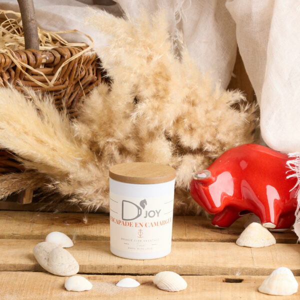 Bougie D'JOY escapade en Camargue classique