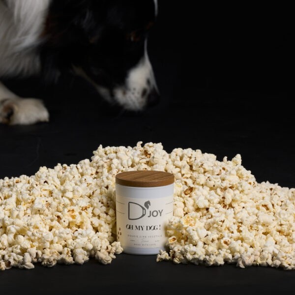 Bougie D'JOY Oh my Dog classique