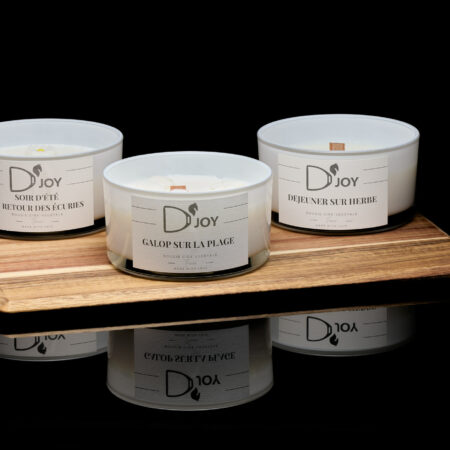 Bougie D'JOY gamme grand format