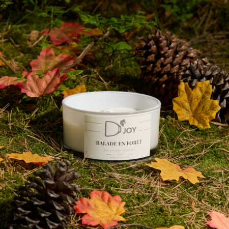 Bougie D'JOY Balade en forêt grand format