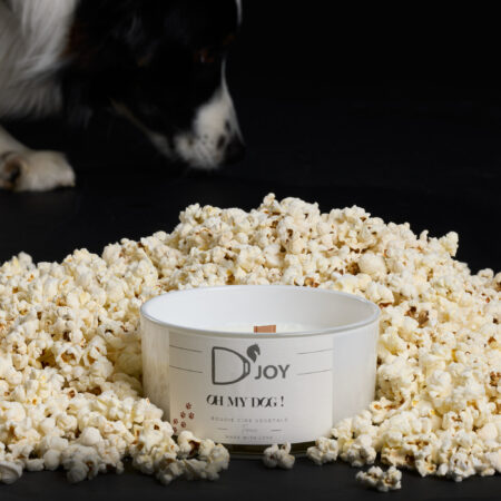 Bougie D'JOY Oh my Dog grand format