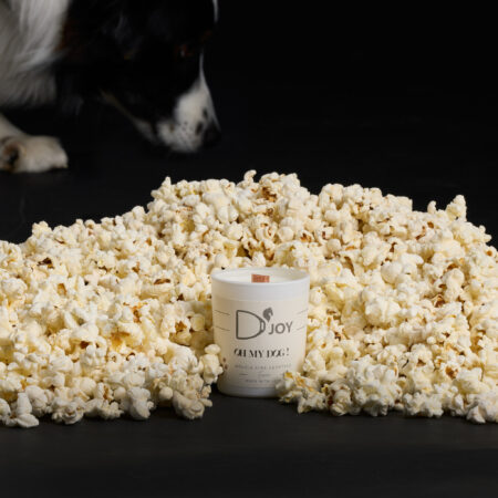 Bougie D'JOY mini Oh my Dog
