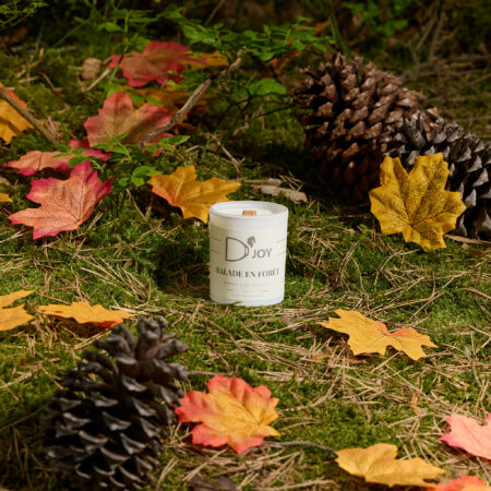 Bougie D'joy mini balade en forêt