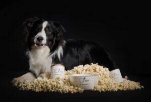 Bougie chien parfumée Oh My Dog par la marque de bougie artisanales parfumées D'Joy, senteur pop corn et caramel, posée à côté d'un chien.